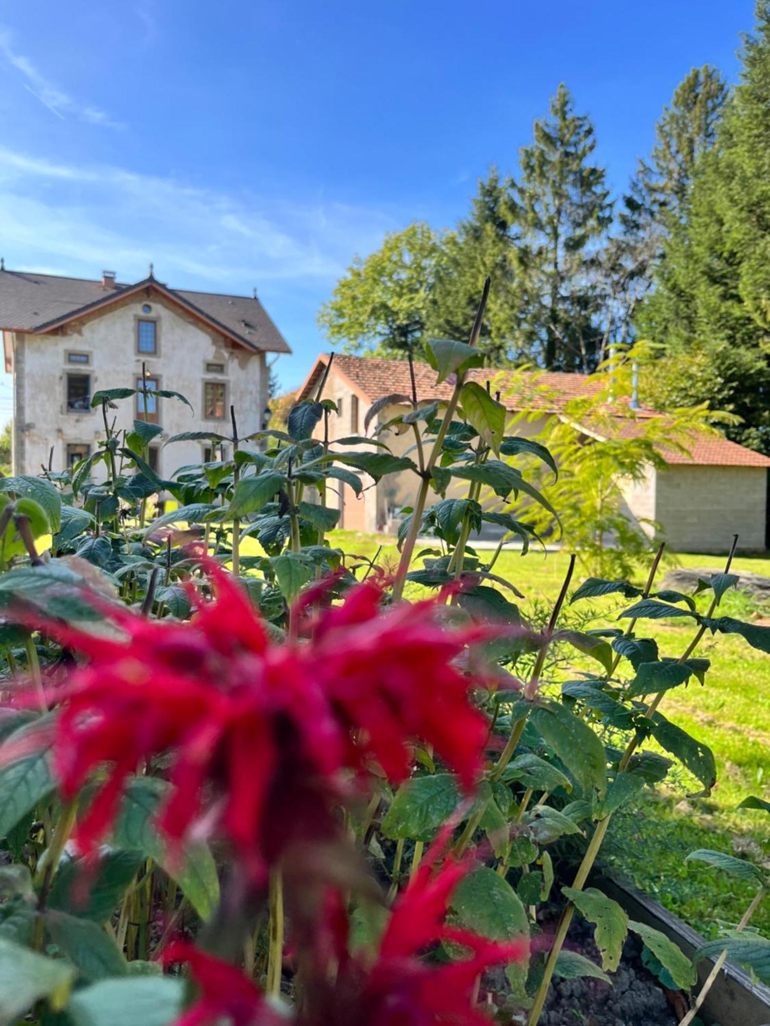 Chambre D'Hote Cosy Domaine Du Bagnerot La Chapelle-aux-Bois Экстерьер фото